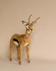 A hand-sewn Gazelle Stuffed Animal - 28", featuring long curved horns and distinctive black and white markings on its sides, standing against a plain beige background.