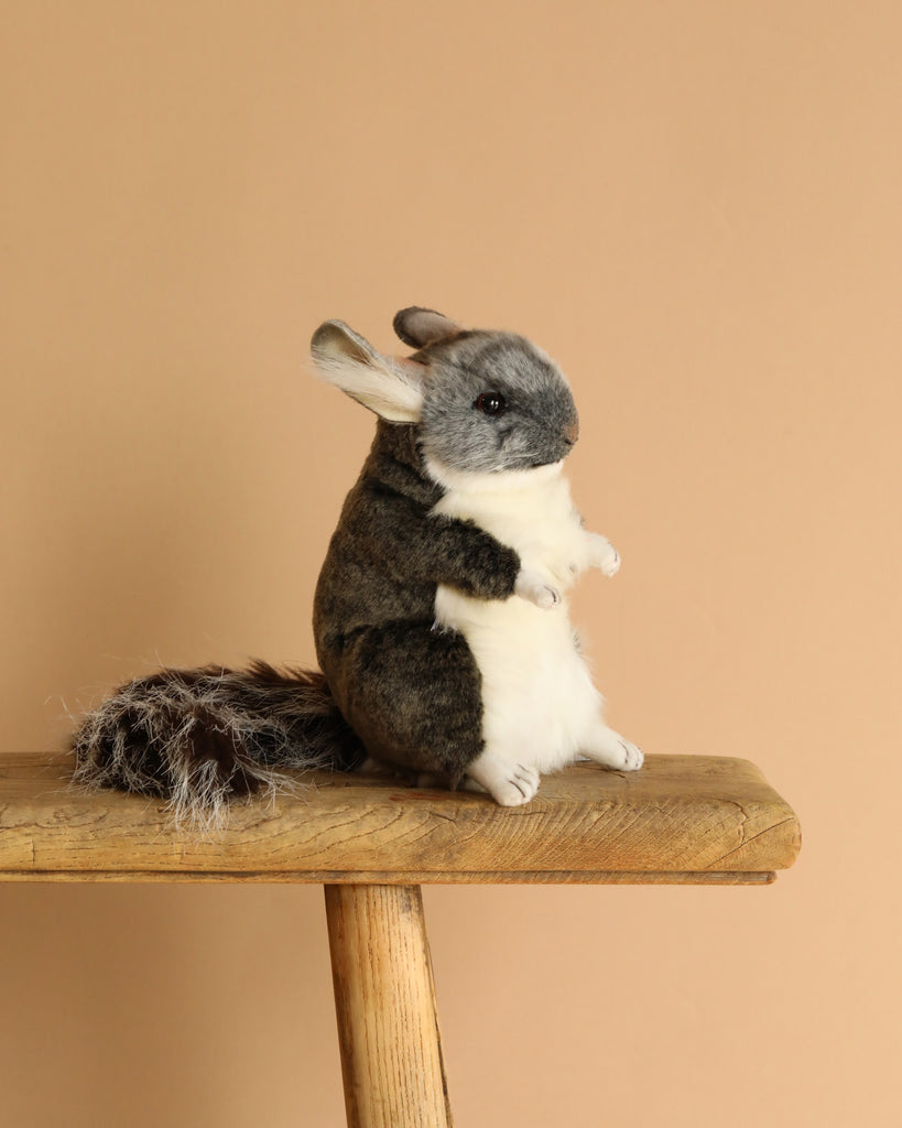 A Chinchilla Stuffed Animal with gray and white fur sits upright on a wooden surface against a plain beige background, highlighting its realistic features.