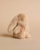 Mini plush bunny in cream peach color with bow. Photographed against beige background. 