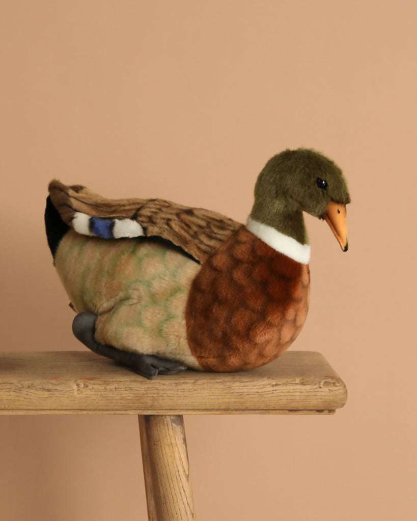 The Mallard Duck Stuffed Animal, hand sewn with brown, green, and tan colors, sits on a wooden bench against a plain beige background to showcase its realistic features.