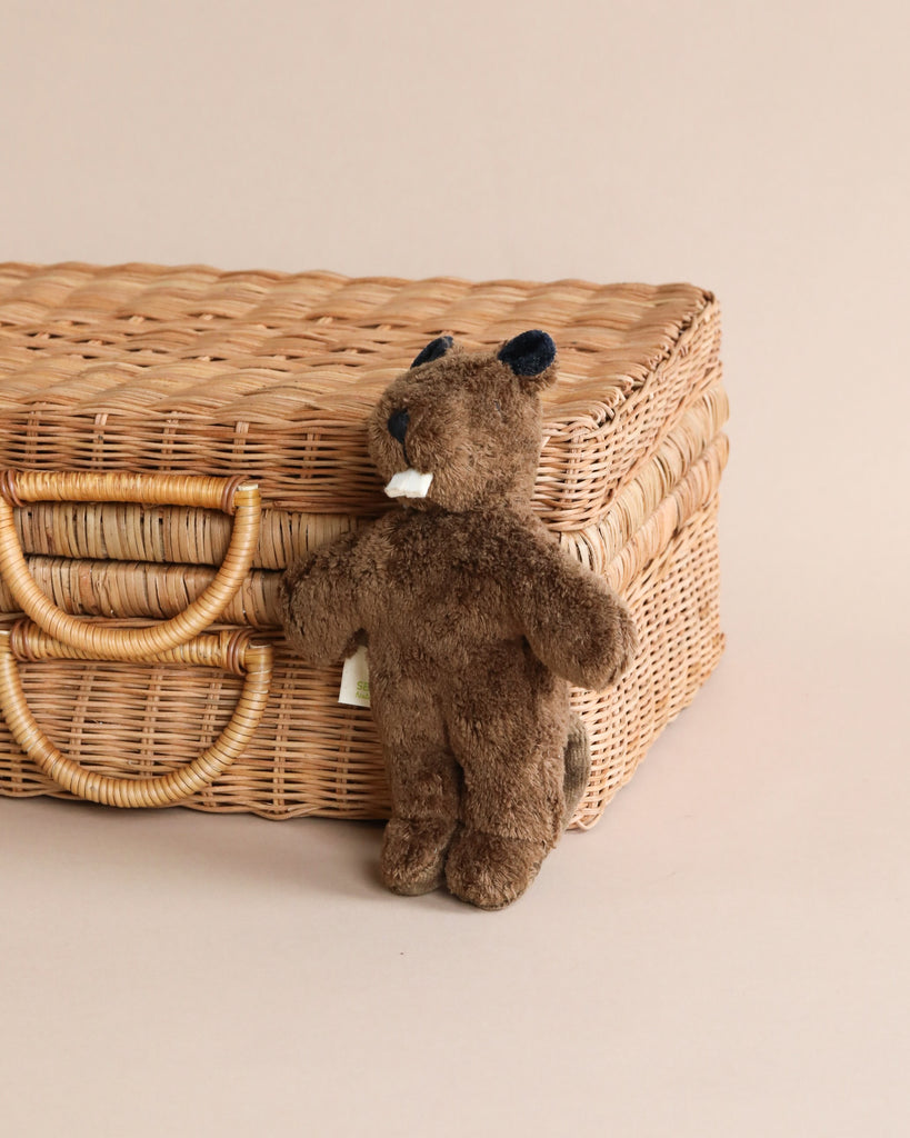 A small brown Senger Naturwelt stuffed animal - Baby Beaver standing next to a woven wicker basket on a beige background.