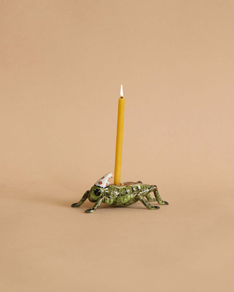 A whimsical candle holder shaped like a green frog, with a lit yellow birthday candle positioned on its back, set against a plain beige background.