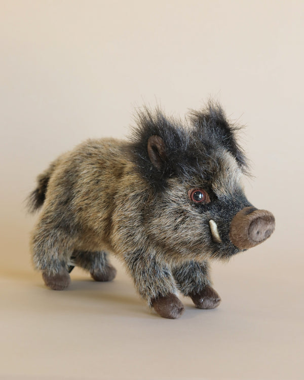 A realistic Baby Boar Stuffed Animal with dark eyes, small tusks, and textured fur standing against a plain light background, part of the HANSA animals collection.