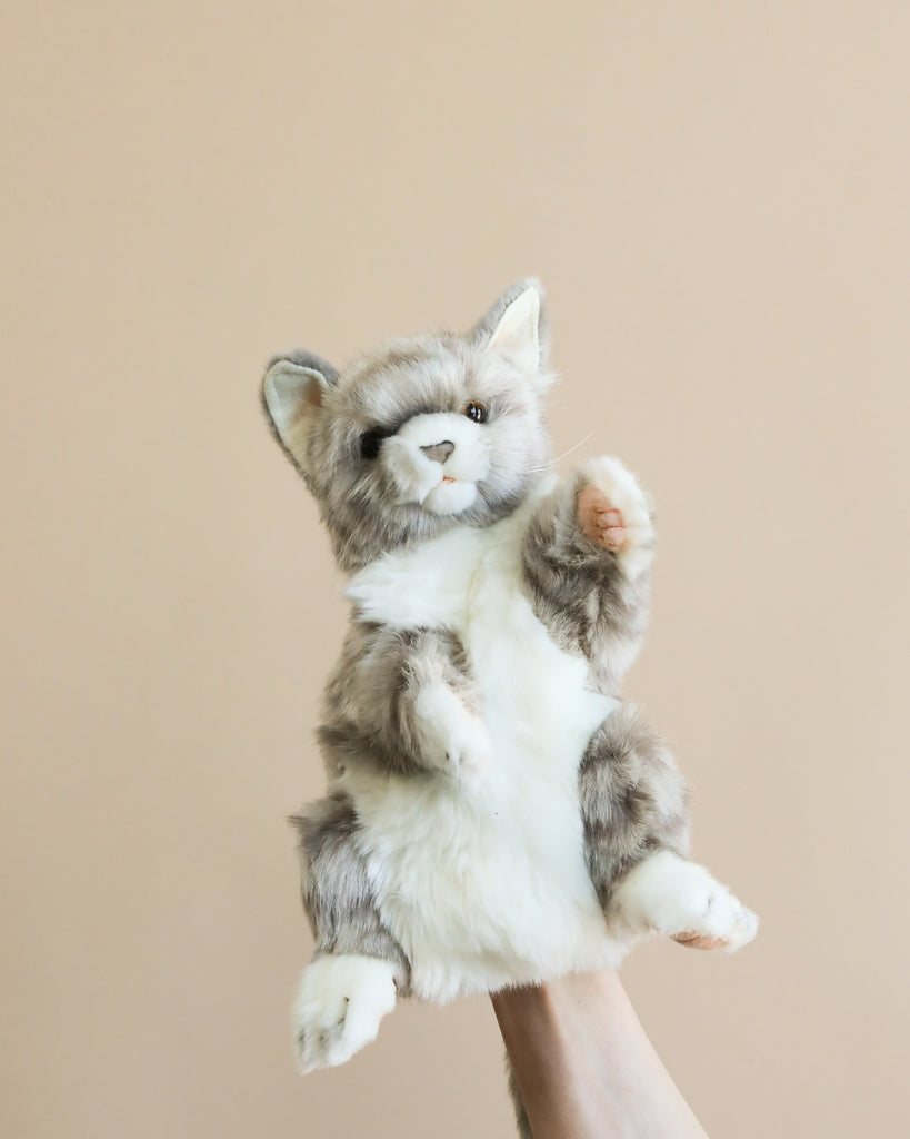 cat puppet stuffed animal