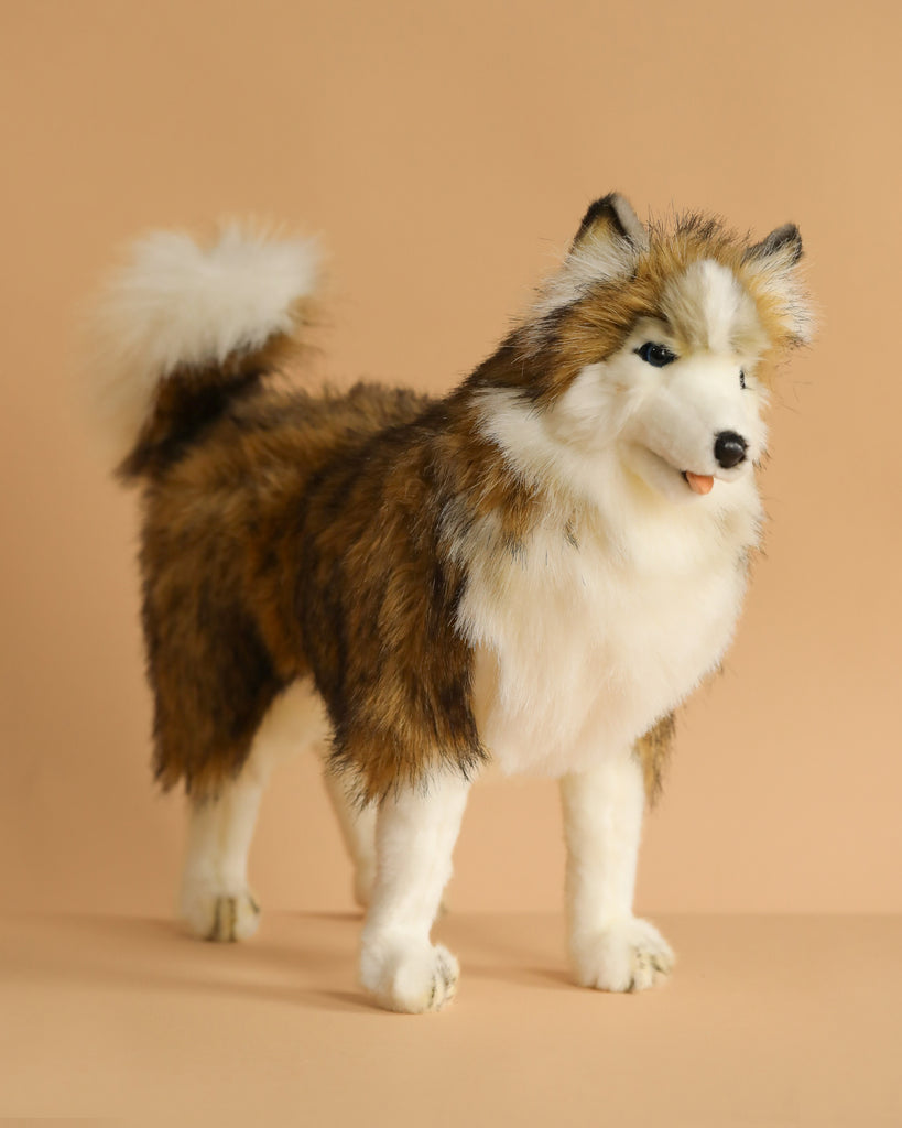 The Husky Dog Stuffed Animal is a plush, brown and white toy with pointy ears and a bushy tail, realistic features, and stands on a flat surface against a beige background.