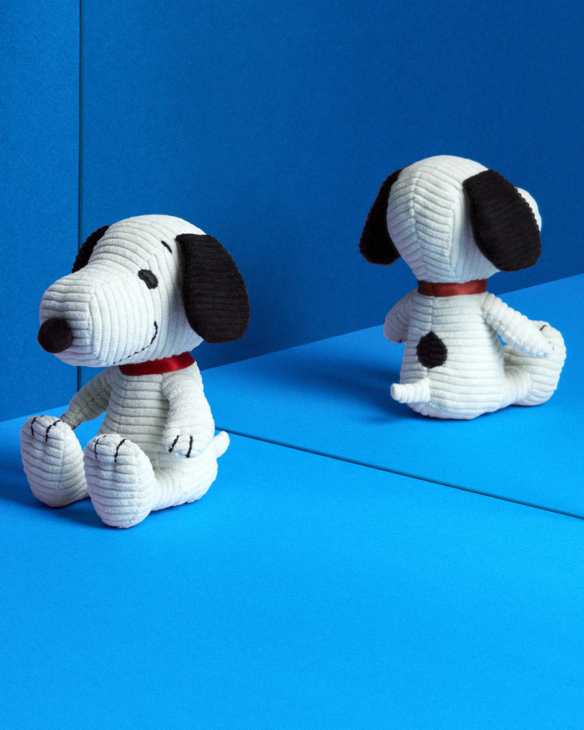 Two Peanuts Snoopy Plush Toys, in a gift box, sit on a vibrant blue background. White with black ears and spots, they have red collars and are positioned sitting and facing different directions, making them perfect additions to any plush collection.