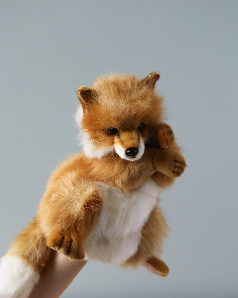 A Fox Puppet with orange and white fur, held up against a plain light blue background. The puppet has realistic features with a focused expression, exemplifying an artisan crafted toy.