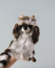 A realistic Raccoon Puppet held up against a plain, light grey background, showcasing its detailed face and striped tail.