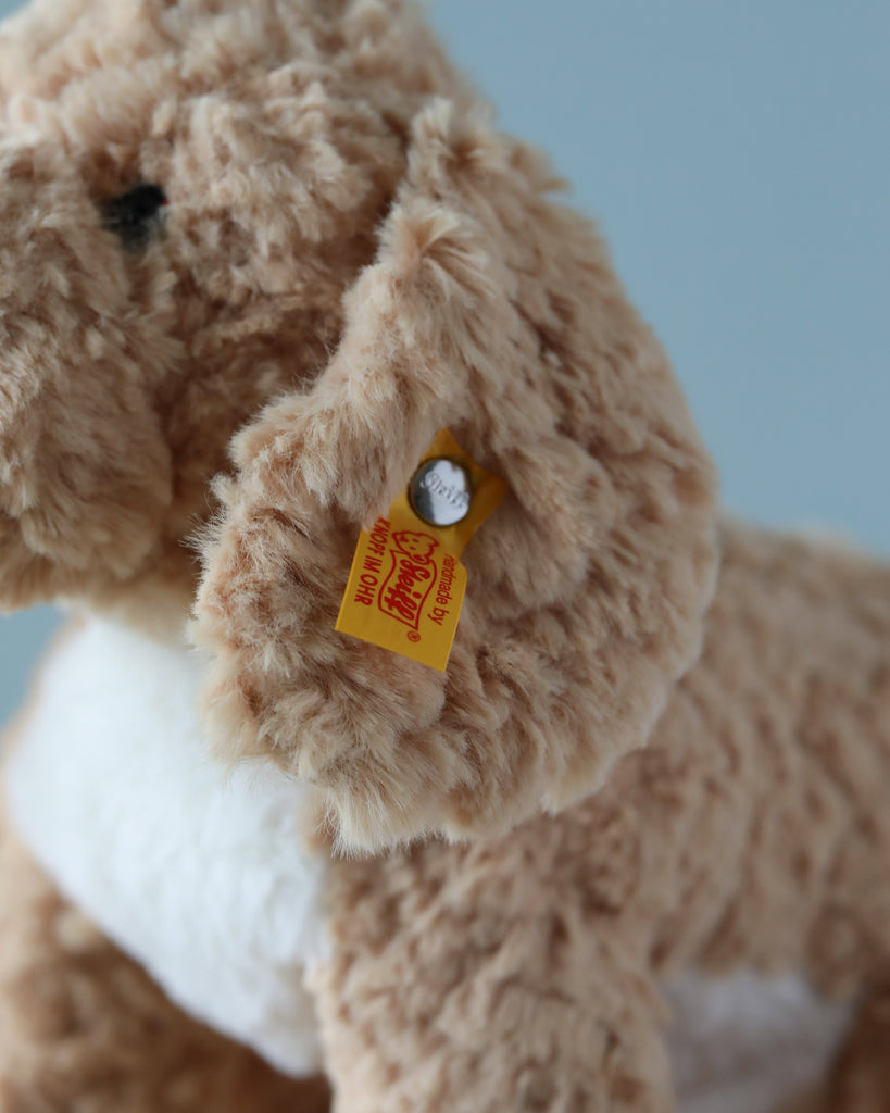 Close-up of a beige plush Steiff, Jimmy Berno Goldendoodle Puppy, 10" toy with a "Button in Ear" tag displaying the brand "steiff." The focus is on the texture and details of the soft fur and the tag.