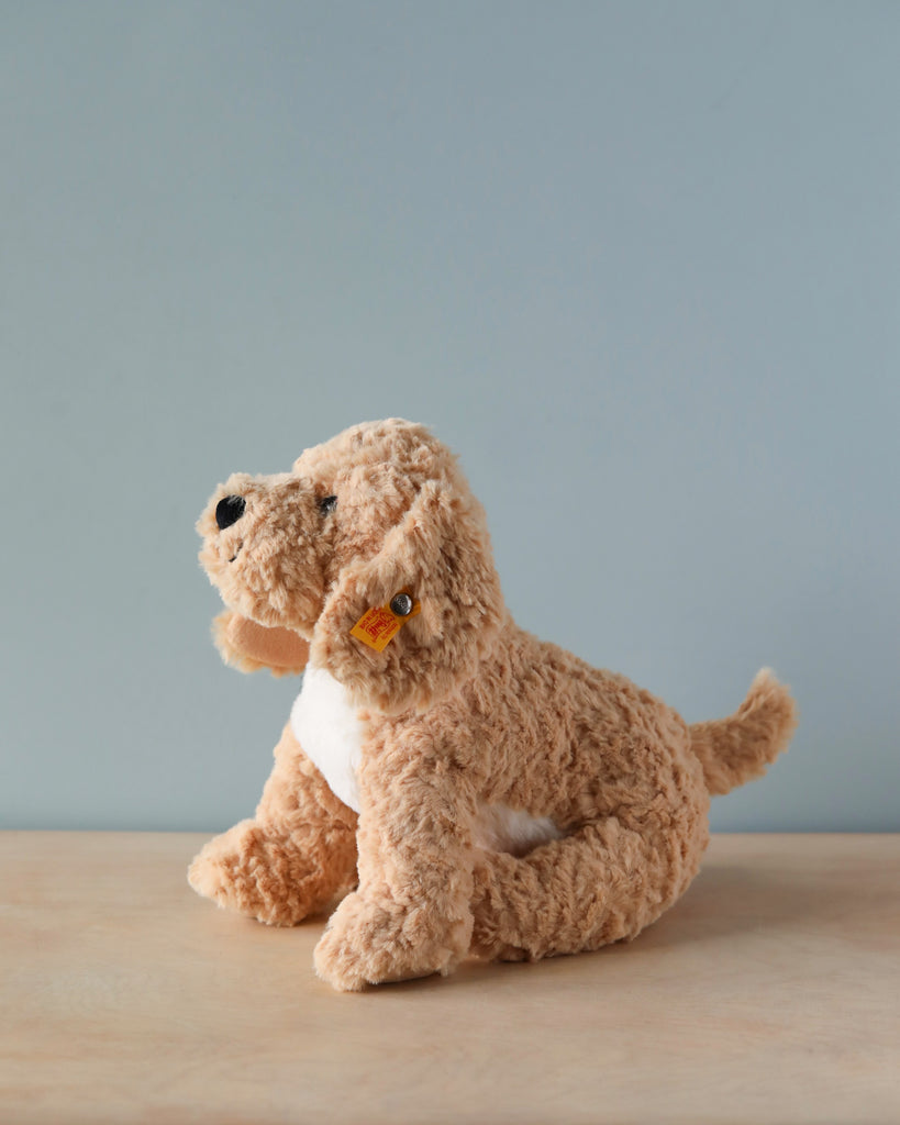 A plush toy dog with soft, light brown fur sits on a wooden surface against a sky-blue background. The toy features a white belly, black nose, and wears the iconic Steiff "Button in Ear." The product is the Steiff, Jimmy Berno Goldendoodle Puppy, 10".