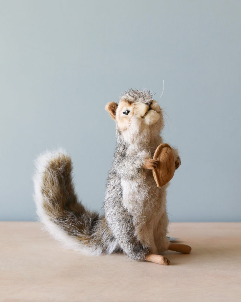 A cute, realistic Squirrel With A Nut Stuffed Animal with soft grey and white fur, beady eyes, and a bushy tail, sitting upright on a light blue background.