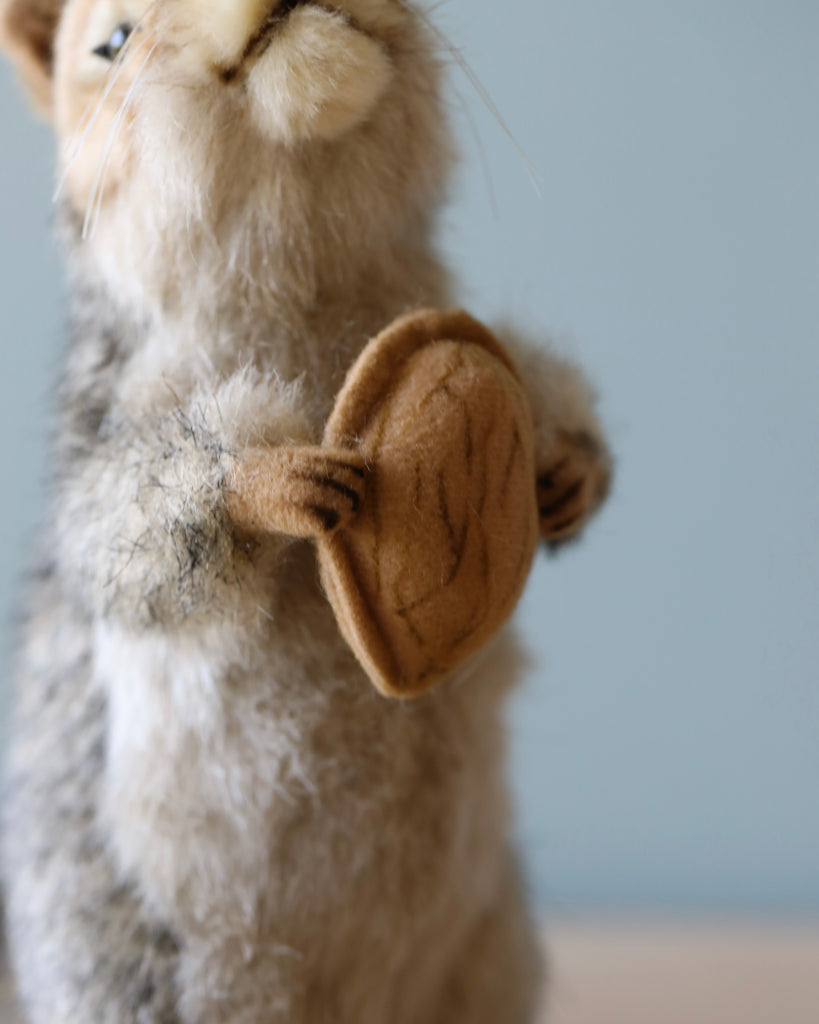 A close-up of the Squirrel With A Nut stuffed animal, standing upright and holding a small tan hat, against a soft blue background.