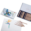 Open box of Stockmar Colored Pencils Triangular Assortment 24+1 with a case set next to an illustration of a colorful bird and a flower on white paper, showcasing art supplies and creativity.