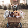 A person in a park pushing a Olli Ella Koala Moppet Doll filled with four diverse plush dolls, including a lion and animals, on a grassy field during sunset. Among the collection is also a cuddly Co