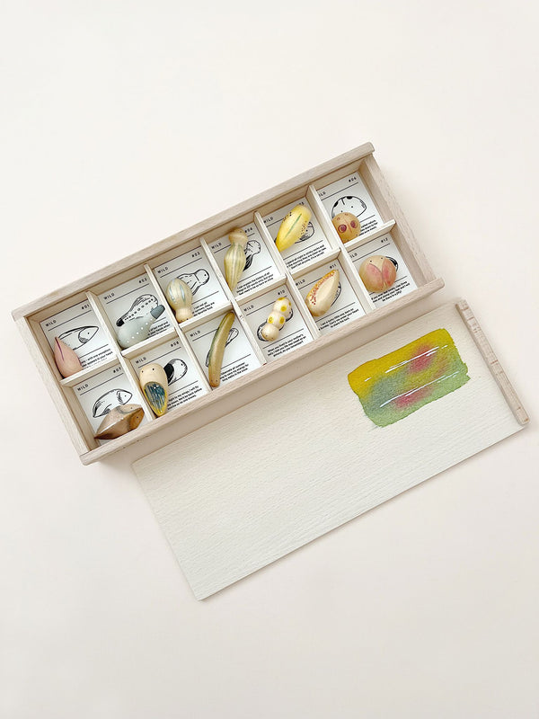 A Grapat Wild Exploration Play Set, featuring a wooden box containing multiple compartments, each filled with a variety of colorful bird-themed artistic cards depicting creatures from the fauna realm, lies next to an empty textured drawing pad