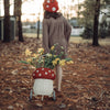 A woman wearing a polka-dot hat pushes a whimsical, Olli Ella Rattan Mushroom Luggy - Red, filled with yellow daffodils through a leaf-covered park at dusk.