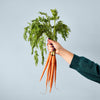 A hand in a green sleeve holds up Garden Seed Pop (Single) carrots with leafy tops—ideal for starting your vegetable garden—against a light blue background.