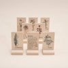 The Uncle Goose Chips - Herbs are crafted from sustainable basswood and feature black illustrations with names such as rosemary, parsley, and mint. These garden essentials are carefully arranged in a staggered formation against a plain background.