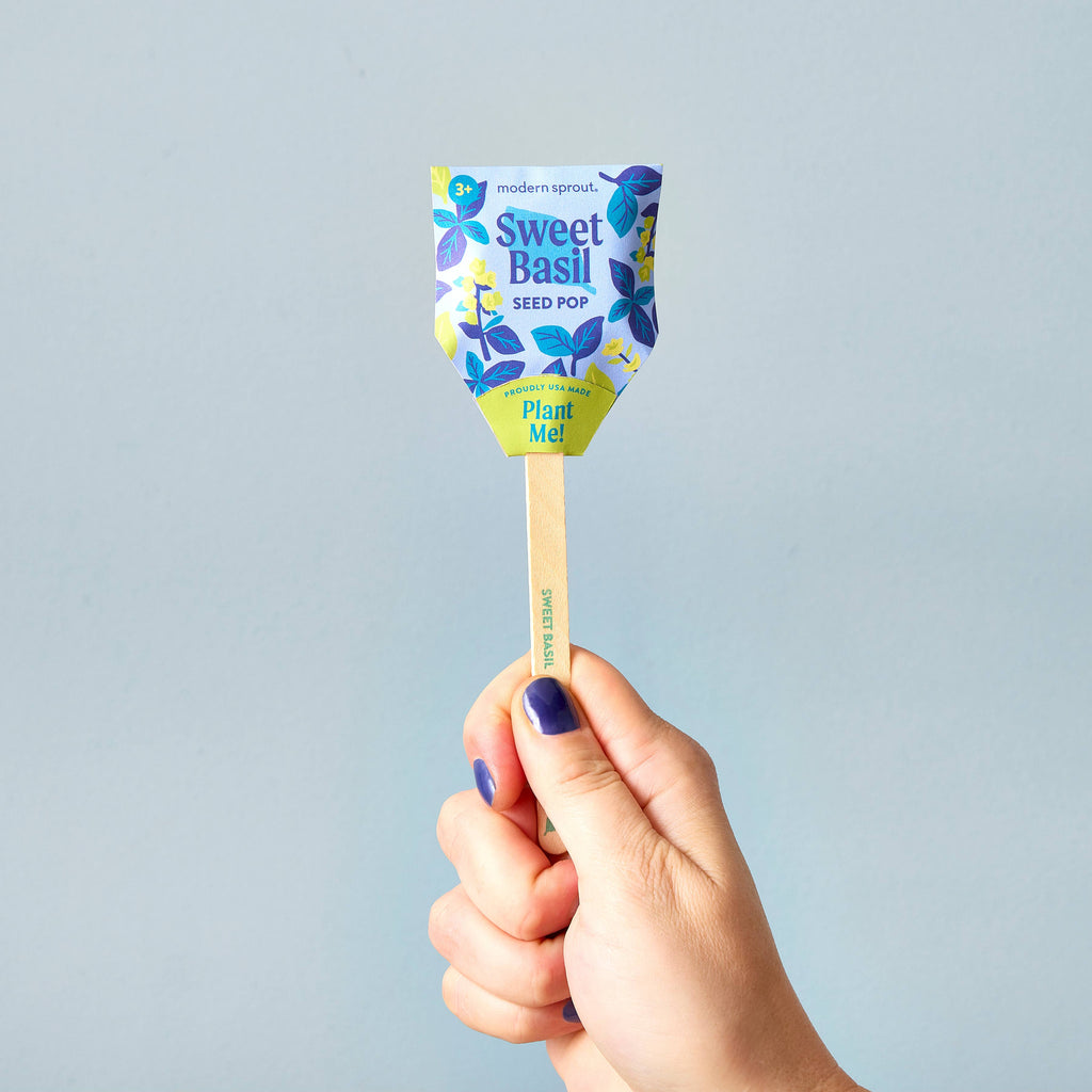 A hand with blue-painted nails holds the Garden Seed Pop (Single) by Modern Sprout, a lollipop-shaped gardening gift with a wooden stick and colorful wrapper—perfect for starting your own vegetable garden.