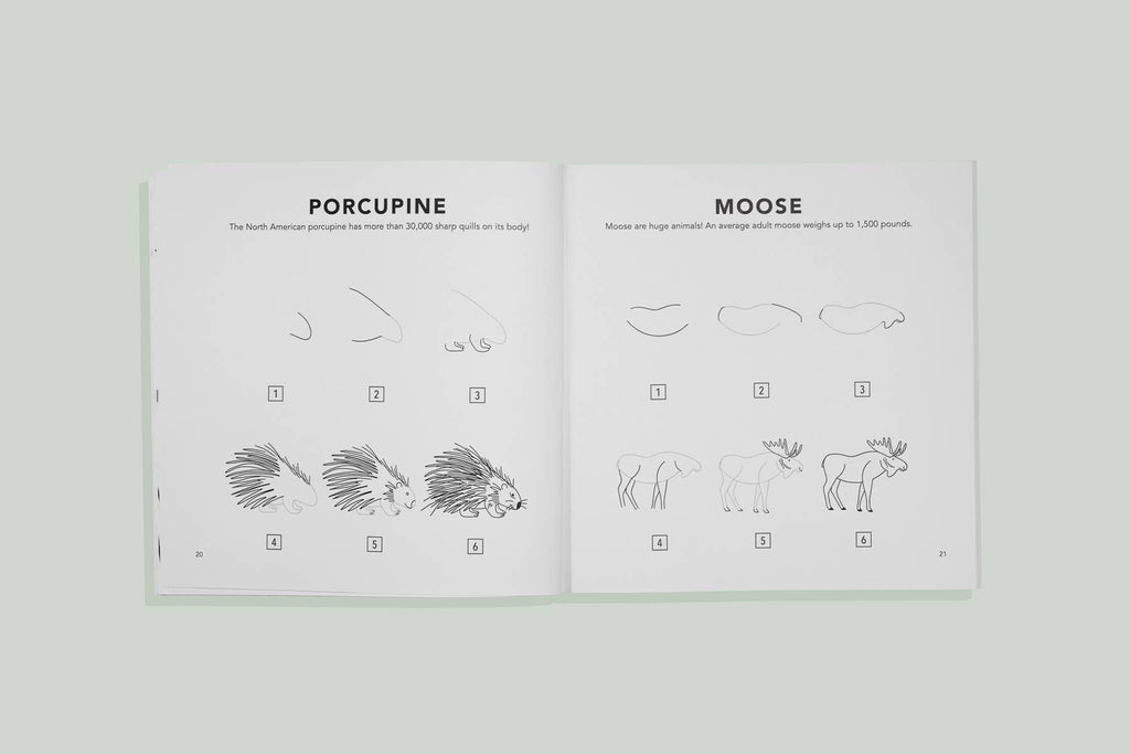 Mushrooms & Woodland Creatures: A Kids Drawing Book features easy, step-by-step guides with simple illustrations for drawing woodland animals like a porcupine and a moose—ideal for homeschool or kids’ art lessons.