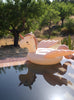 An Inflatable Unicorn Float with handles on the neck in a serene, still pool with a backdrop of green trees under a clear blue sky.