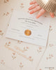 A baby's hand touches an adoption certificate on a floral surface, with another one beneath. Next to them is Cuddle + Kind My First Baby (Buttercup), a hand-knit natural cotton doll that donates 10 meals to children in need. Ships in one week.