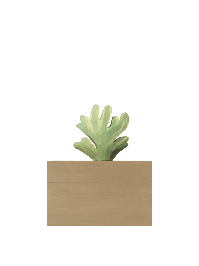 A small green plant with broad leaves sits in the Ferm Living Hand Carved Wooden Harbour Box - Coral, a rectangular light brown planter made from FSC certified aspen wood, set against a plain black background.