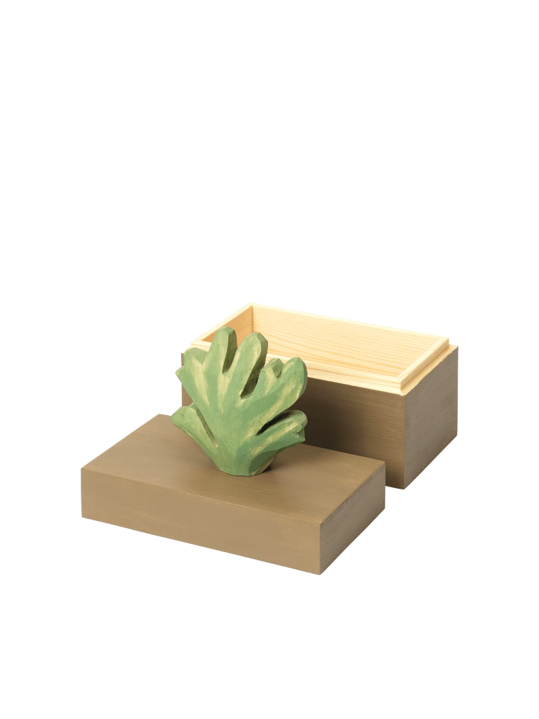 The Ferm Living Hand Carved Wooden Harbour Box - Coral is a small FSC certified aspen wood box with a light interior, partially open lid with a hand-carved handle, and topped with a coral, leaf-shaped decorative accent.