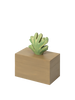 The Ferm Living Hand Carved Wooden Harbour Box - Coral is a rectangular children’s storage box crafted from FSC certified aspen wood with a smooth, light brown finish and topped with a coral-colored decorative piece.
