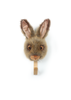 The Coat Hanger - Brown Hare features a plush rabbit head with big ears and lifelike fur, mounted on a wooden wall hook against a plain white background.