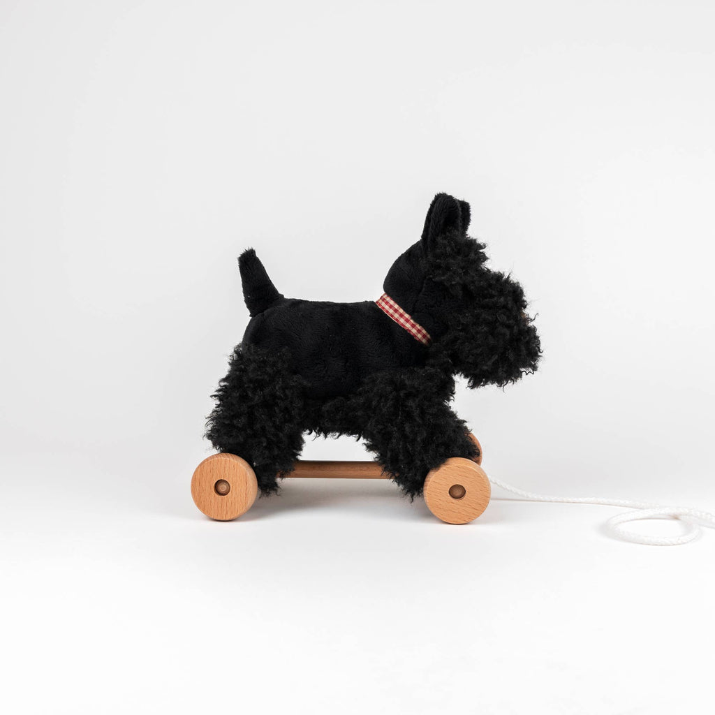 Pull-Along Walter is a black plush dog with a red collar, mounted on a wooden wheeled base and featuring a white pull string. This engaging pull-along toy encourages the development of gross motor skills and is presented against a plain white background.