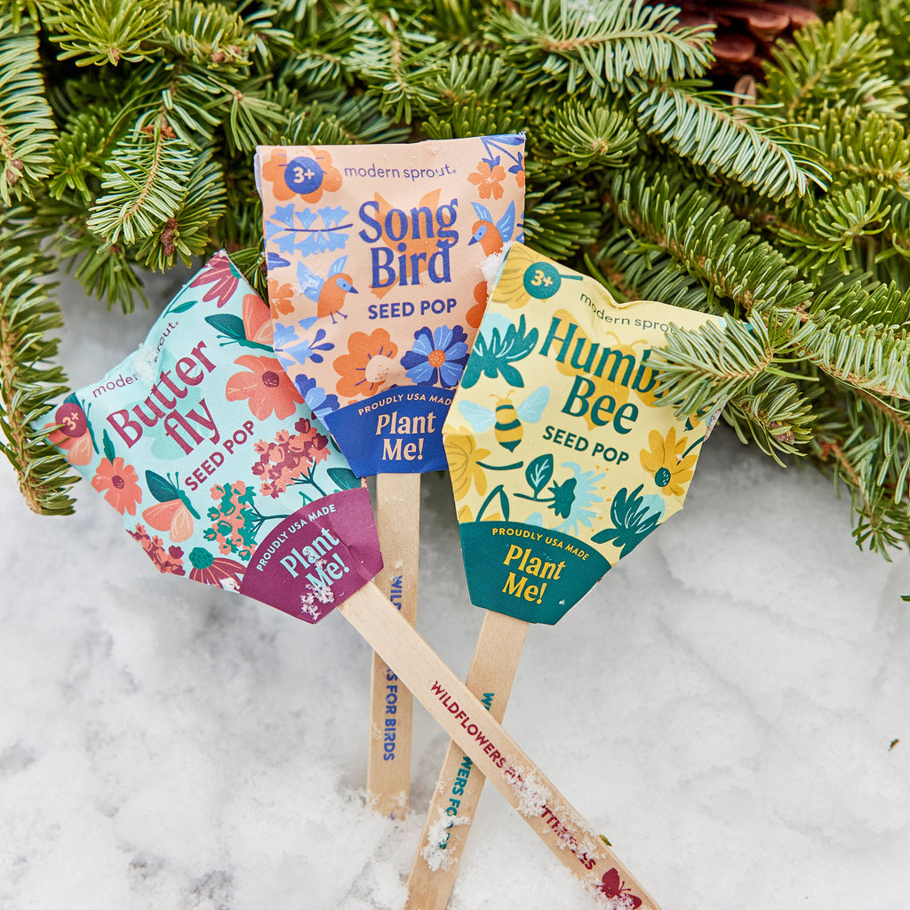 A Pollinator Seed Pop (Single) labeled "Plant Me!" is shown on snow by evergreen branches—perfect for starting a vibrant wildflower pollinator garden.