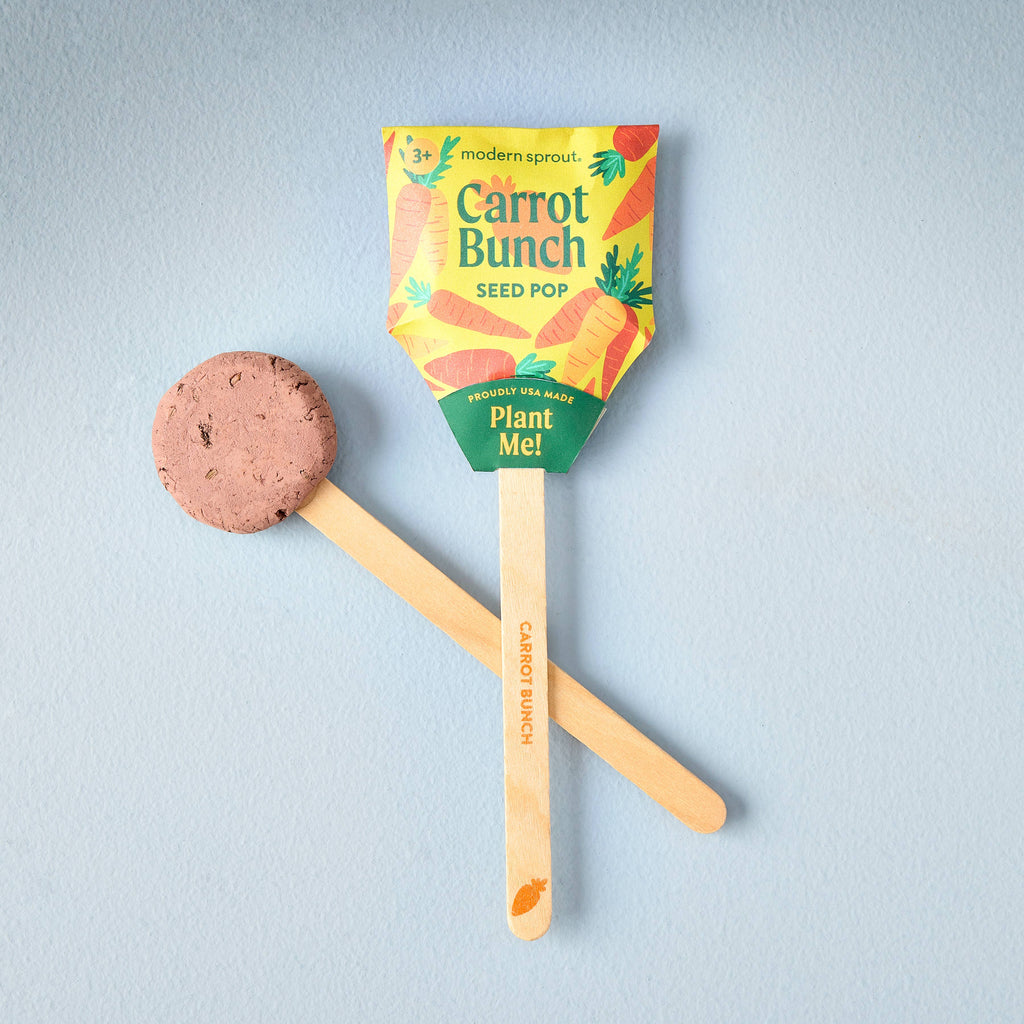 A Garden Seed Pop (Single) with a colorful wrapper and wooden stick rests on a light blue surface next to an unwrapped soil disk—an organic, family-friendly gardening starter ideal for starting your own vegetable garden.
