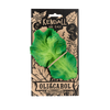 Kendall the Kale Teething Toy by Oli & Carol is a green, vegetable-shaped baby toy secured with a rubber band on cardboard packaging featuring black illustrations and text promoting fruits and veggies.