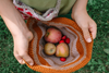 A person stands on green grass, holding a knitted hat filled with freshly picked apples, small red berries, and Grapat Mandala Half Spheres.