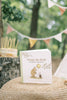 A “Winnie-the-Pooh: Finding Feelings” board book is displayed on a woven surface outside, with a blurred cake and pastel bunting visible in the background.