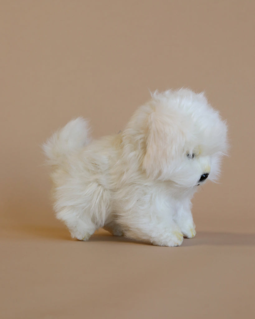 A Maltese Tea Cup Stuffed Animal, hand sewn with a thick coat of plush fur stands against a soft beige background, facing to its right. The toy appears soft and realistic, mimicking a small fluffy white toy dog.