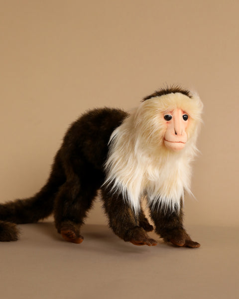 Capuchin Monkey Stuffed Animal– Odin Parker