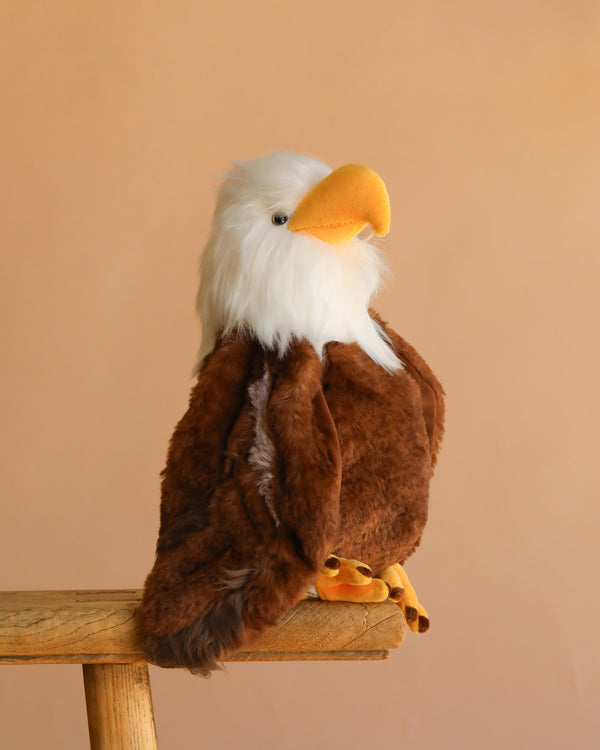 The Bukowski - Scout Bald Eagle is a plush stuffed animal with a white head, yellow beak, and brown body, sitting upright on a wooden stool against a beige background. This toy is designed with safety in mind.