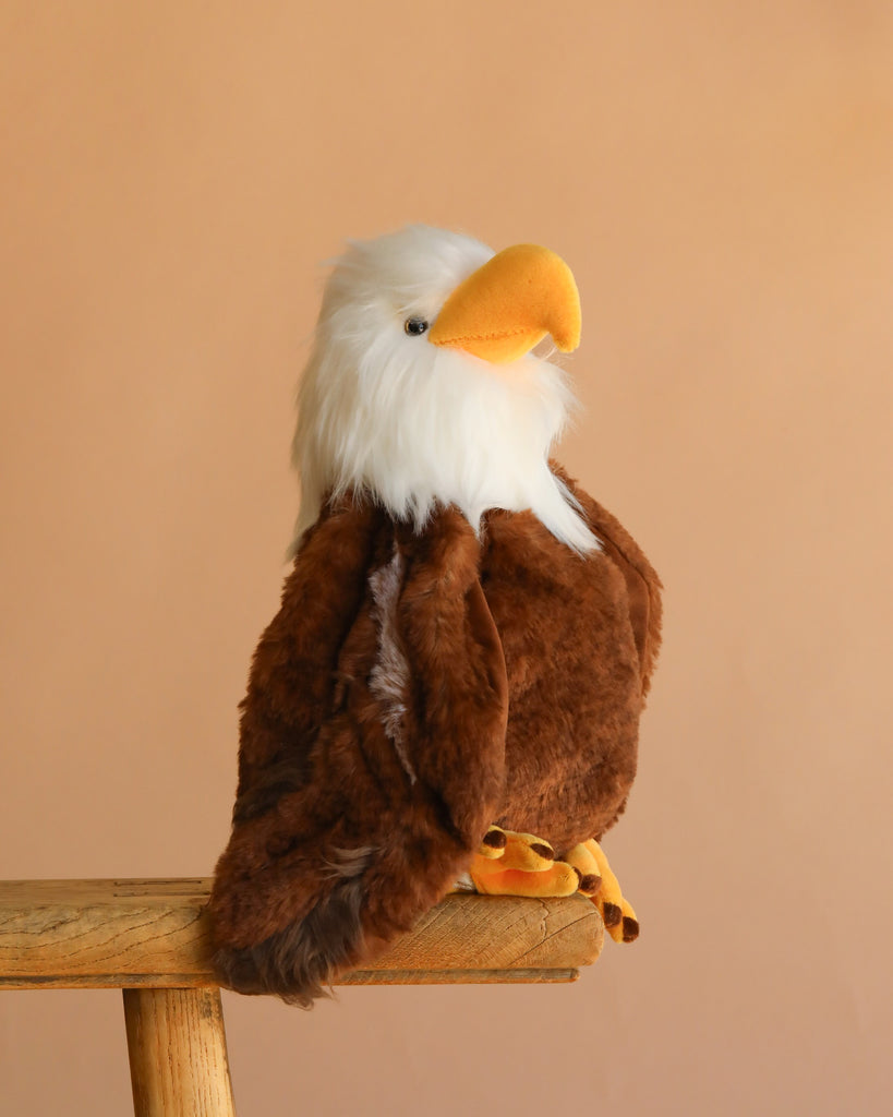The Bukowski - Scout Bald Eagle is a plush stuffed animal with a white head, yellow beak, and brown body, sitting upright on a wooden stool against a beige background. This toy is designed with safety in mind.