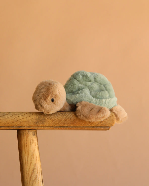 The Bukowski Baby Sandy Sea Turtle - Green, a soft plush stuffed animal with a green shell and beige body, sits on the edge of a wooden stool against a plain light brown background.