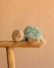 The Bukowski Baby Sandy Sea Turtle - Green, a soft plush stuffed animal with a green shell and beige body, sits on the edge of a wooden stool against a plain light brown background.