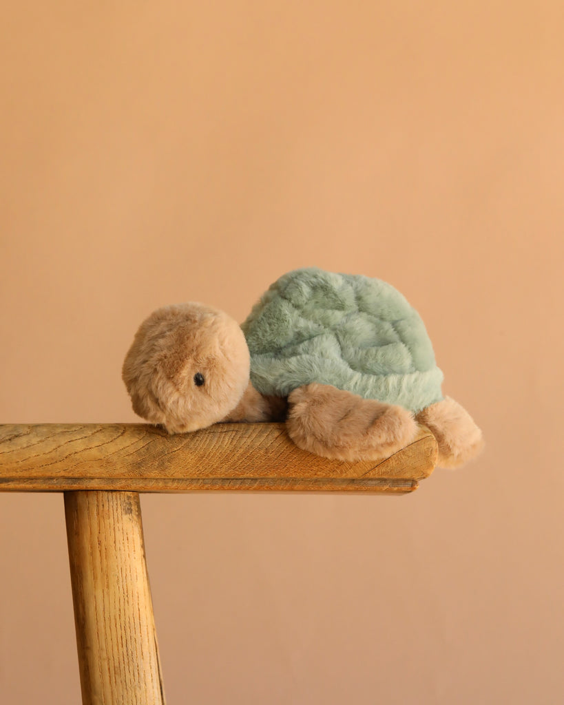 The Bukowski Baby Sandy Sea Turtle - Green, a soft plush stuffed animal with a green shell and beige body, sits on the edge of a wooden stool against a plain light brown background.