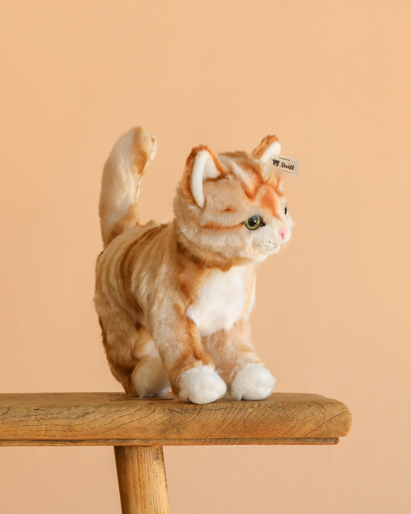 The Steiff Mizzy Cat, a realistic orange and white plush toy with green eyes, stands on a wooden bench against a plain peach background.