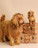 Two FINAL SALE - Life-size Golden Retriever stuffed toy dogs, a larger one standing in front and a smaller one sitting on top of two stacked wicker suitcases. Both golden retriever-like in appearance with fluffy golden fur and realistic features, these hand-sewn animals are set against a plain beige background.