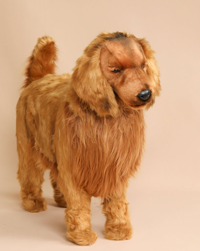 A person is wearing a FINAL SALE - Life-size Golden Retriever, made from man-made materials and covered in golden fur. Standing on a beige background, the costume features hand-sewn realistic features like a detailed mane, face, and paws that mimic a lion crossed with a dog.