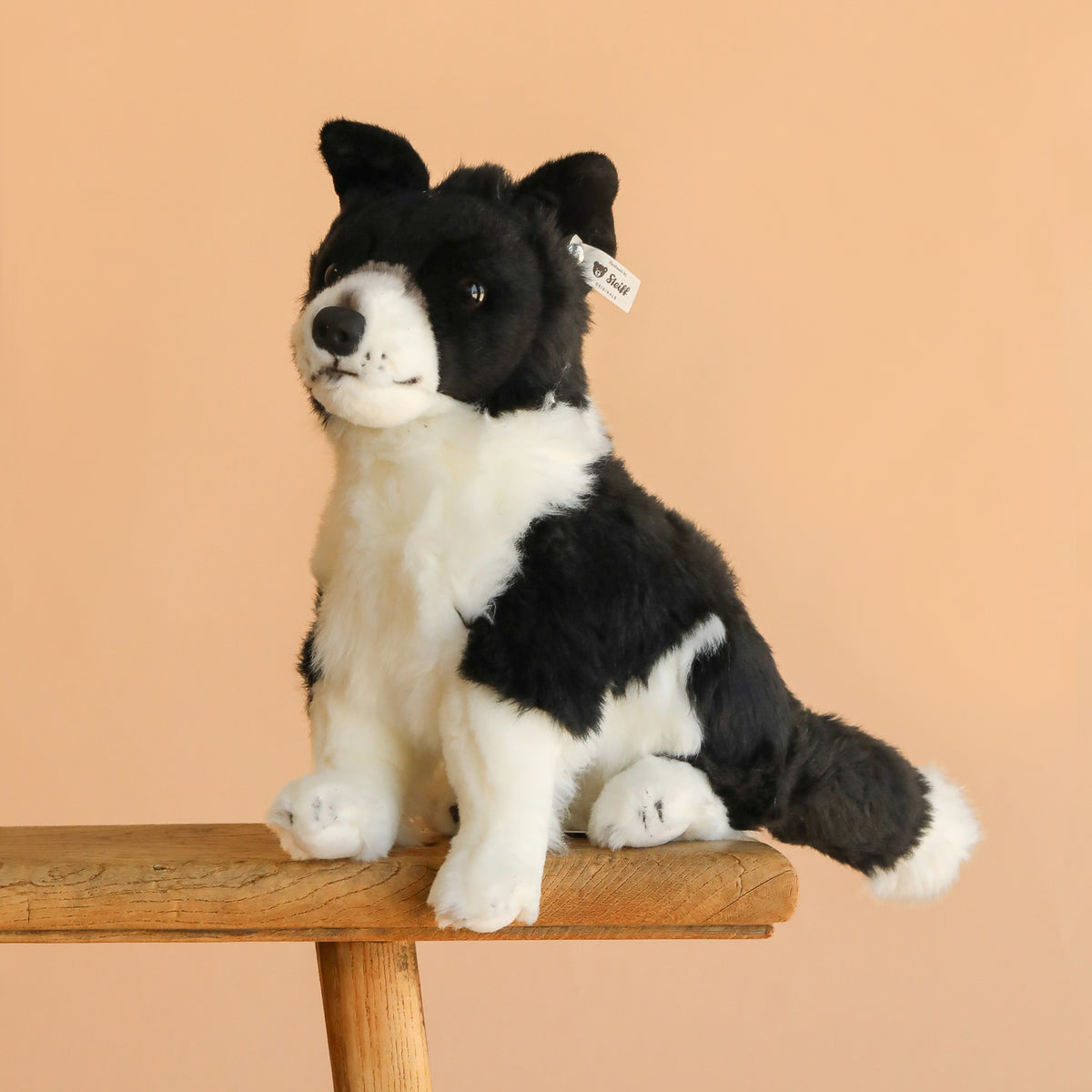 Steiff Jaycee Border Collie Dog– Odin Parker