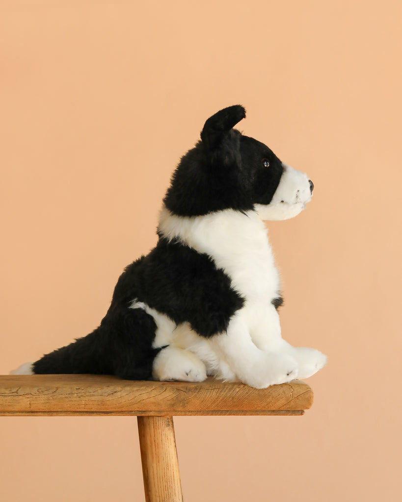 The Steiff Jaycee Border Collie Dog plush, in black and white, sits upright on a wooden stool with a plain peach-colored background.