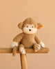 A Steiff Brownie Monkey plush with a white face, hands, and feet sits on a wooden bench against a light beige background. It features a yellow tag in its ear, making it safe for collectors and children alike.