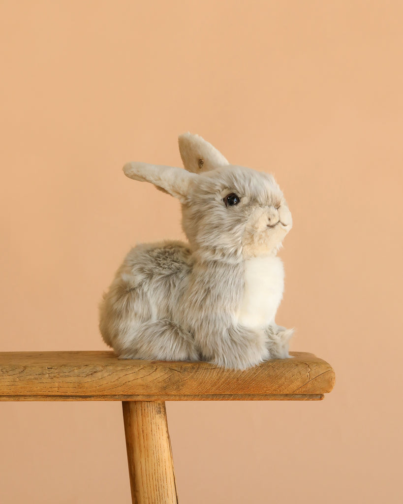 The Steiff Dormili Rabbit, in realistic gray and white, sits on a wooden stool against a plain peach-colored background.